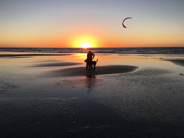 Vacation rental for 6 people, with terrace, with pets in San Diego