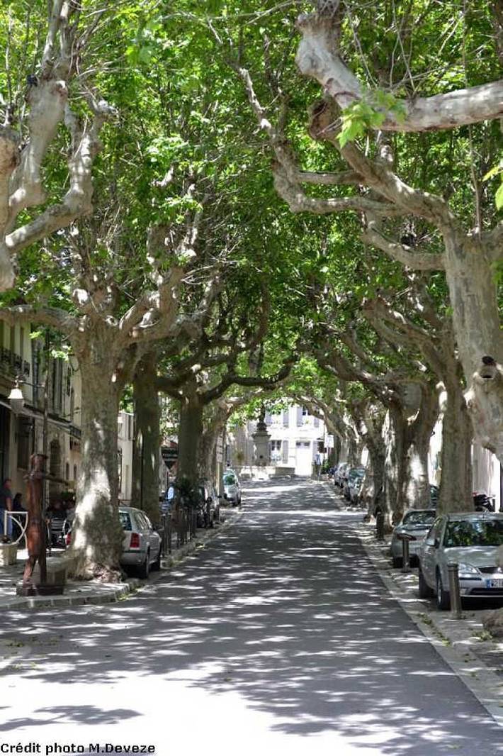 Gîte pour 8 personnes, avec jardin, animaux acceptés à Villeneuve-Minervois - 4