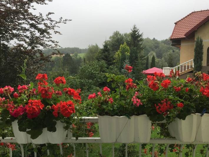 Komfortables Ferienhaus Ewa in Meszna Opacka in Meszna Opacka, Piccola Polonia