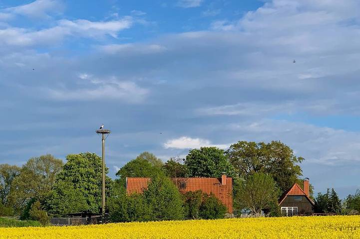 Ferienwohnung für 7 Personen, mit Whirlpool und Sauna sowie Garten und Terrasse, mit Haustier - 1