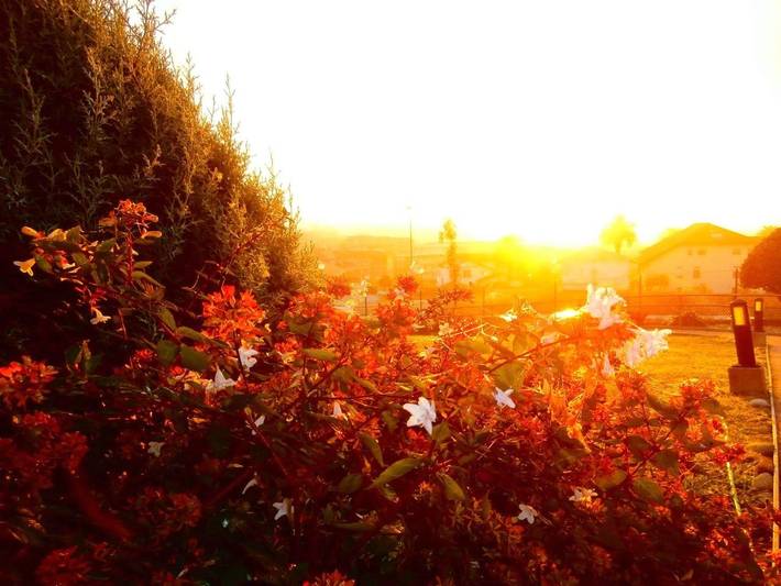 Casa de huéspuedes para 2 personas, con jardín y vistas en Costa Vasca - 3