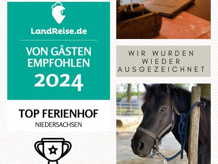 Hütte für 5 Personen, mit Garten, kinderfreundlich an der Nordsee - 4