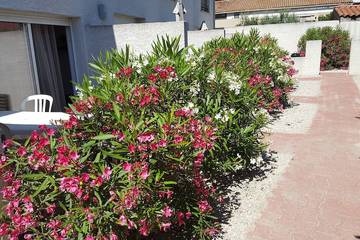 Appartement De Vacances pour 4 Personnes dans Lattes, Région de Montpellier, Photo 4