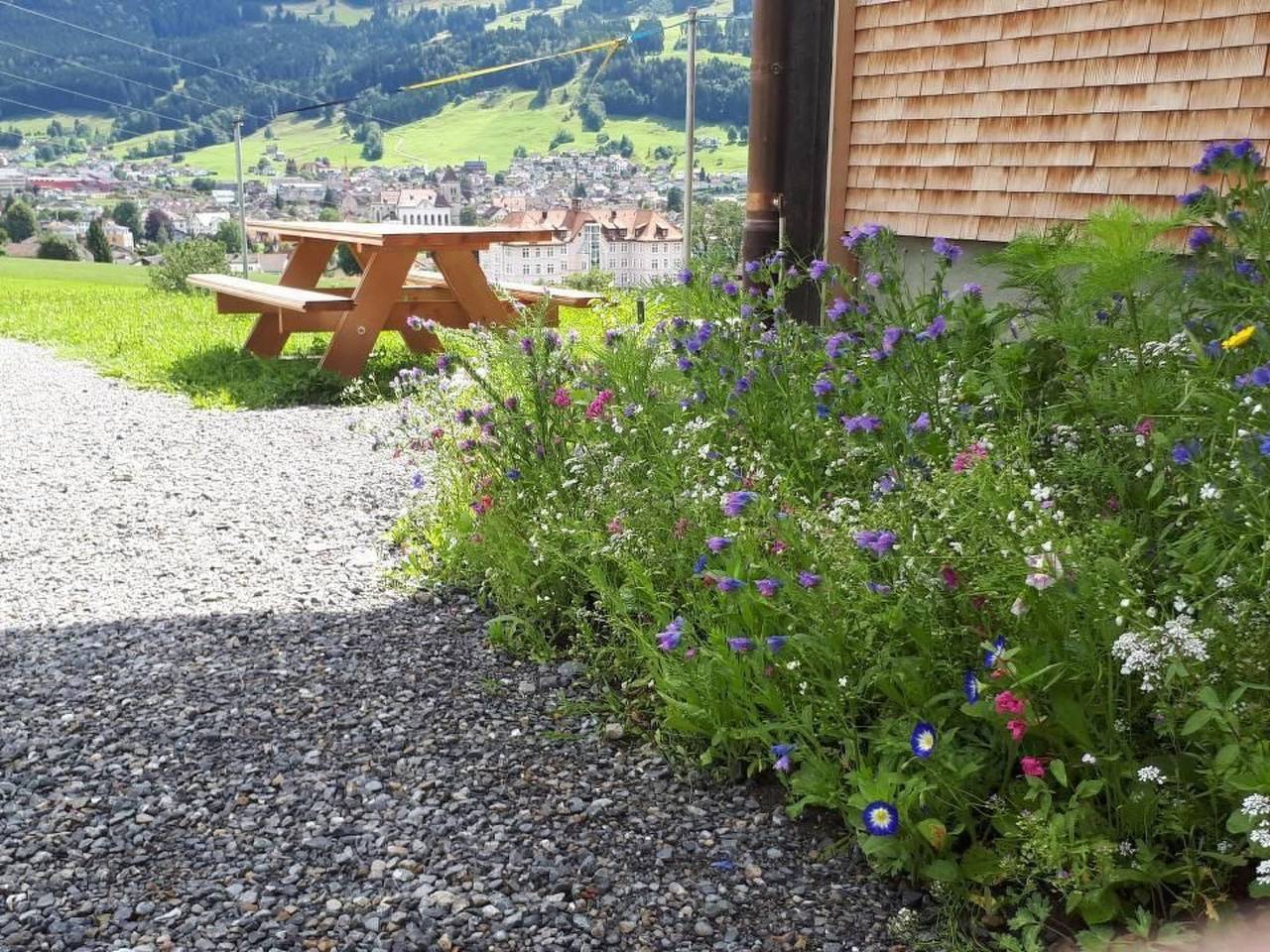 Ganze Wohnung, Haus Lauften in Appenzell, Zürich Voralpen