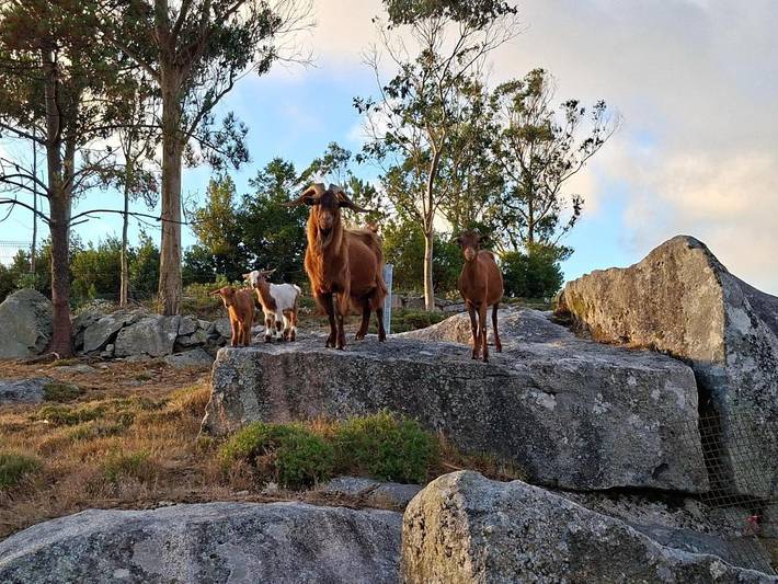 Casa rural para 4 personas, con terraza y vistas en Bergantiños - 2