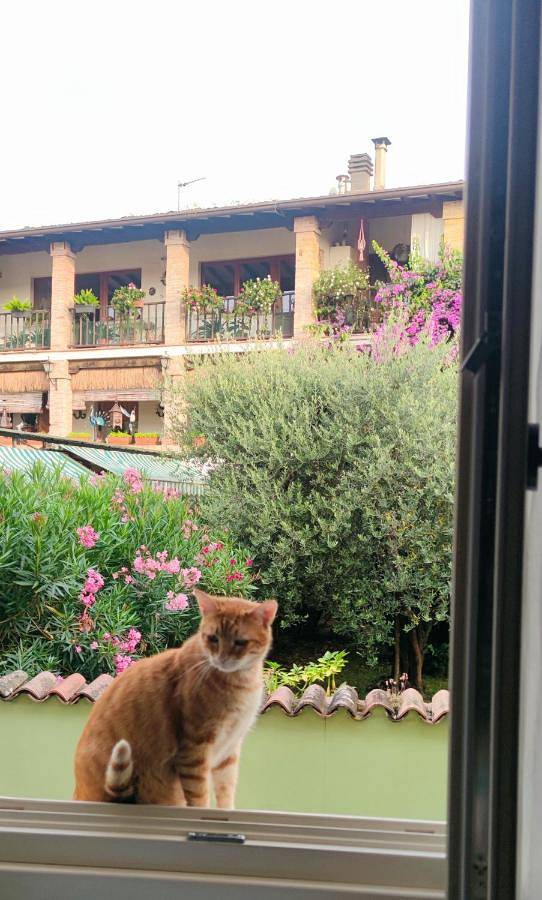 Dolce Lago B&B in San Felice del Benaco, Prealpi Gardesane