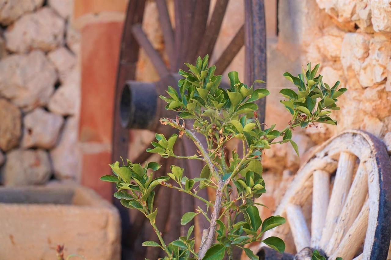 Agroturismo Finca Sa Tanca in Cala d'Or, Santanyí