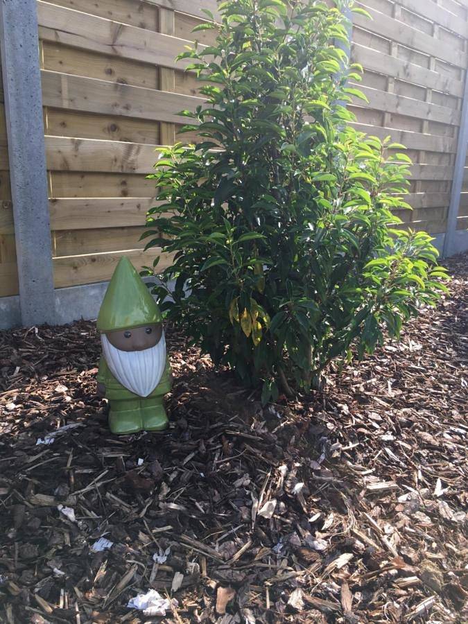 Location de vacances pour 4 personnes, avec jardin et vue dans Watou - 4