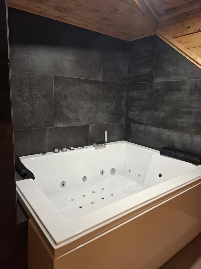 Gîte pour 2 personnes, avec terrasse et jacuzzi ainsi que sauna et jardin dans Tillet - 4