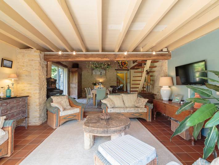 Location de vacances pour 10 personnes, avec jardin et terrasse, animaux acceptés à Vienne (France) - 4