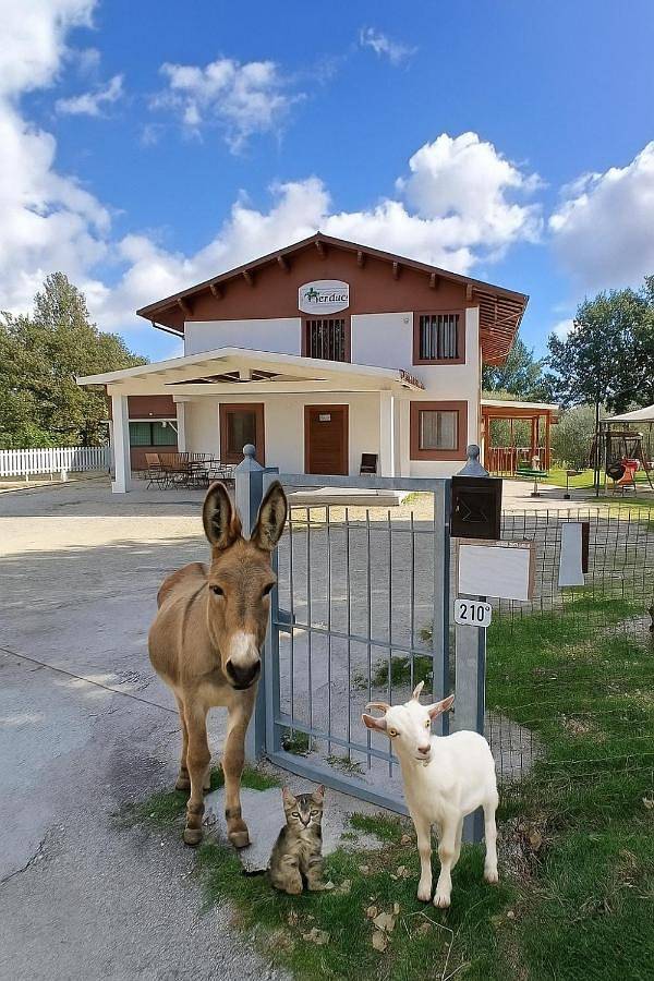 B&b per 3 persone, con giardino e panorama in Spoleto