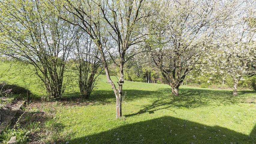 Ferienwohnung für 3 Personen, mit Garten in Rengsdorf-Waldbreitbach - 2