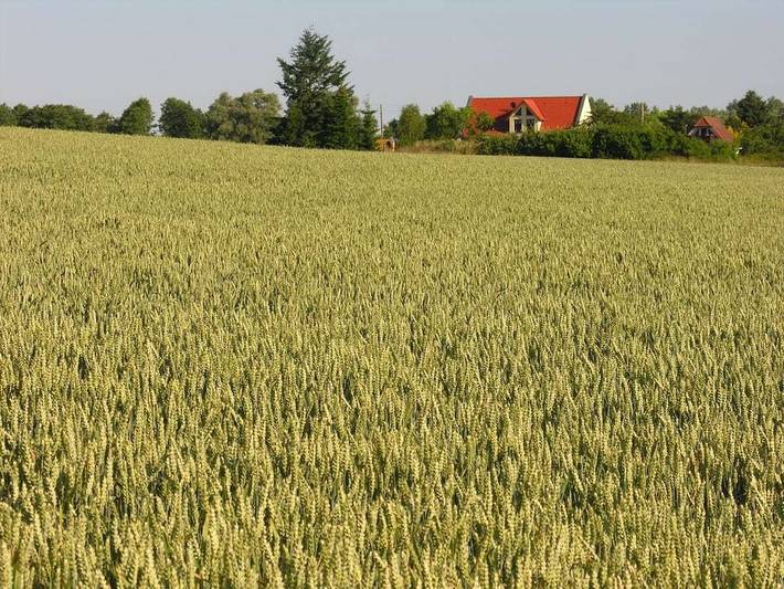 Ferienhaus für 3 Personen, mit Garten in Mahlzow - 4