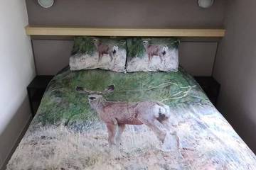 Chalet voor 4 Personen in Putten, Veluwe, Afbeelding 2