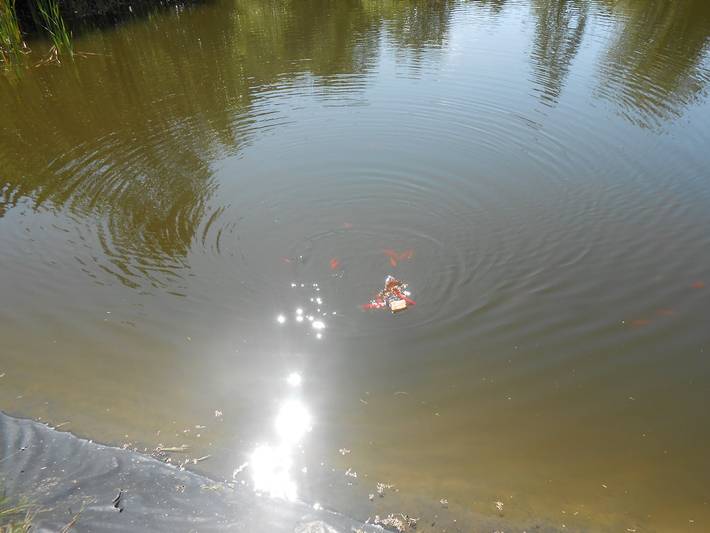Gîte pour 4 personnes, avec terrasse, animaux acceptés dans Haute-Saône - 2