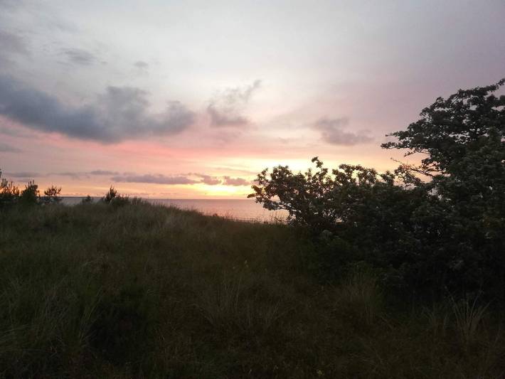 Ferienhaus für 5 Personen, mit Terrasse, kinderfreundlich in Marielyst - 2