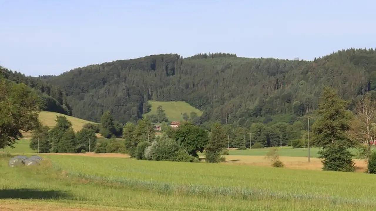 Ganze Ferienwohnung, Ferienwohnung für 5 Personen (65 m²) in Seelbach in Seelbach, Mittlerer Schwarzwald