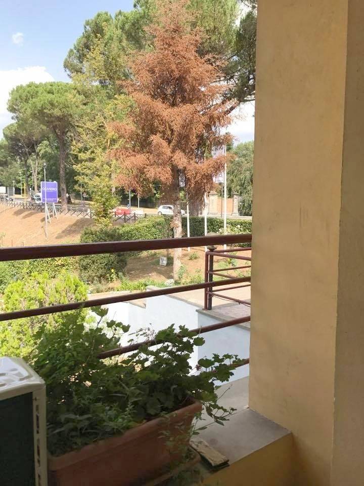Hotel Ebe in San Piero a Sieve, Scarperia e San Piero