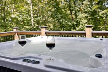 Vacation Rental for 15 Guests in Douglas Lake, Jefferson County (TN), Picture 1