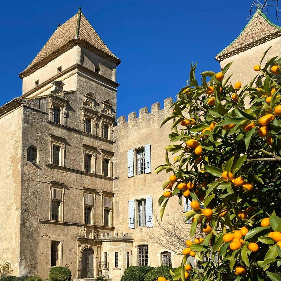 Domaine de Ribaute in Lieuran-lès-Béziers, Côte méditerranéenne (France)