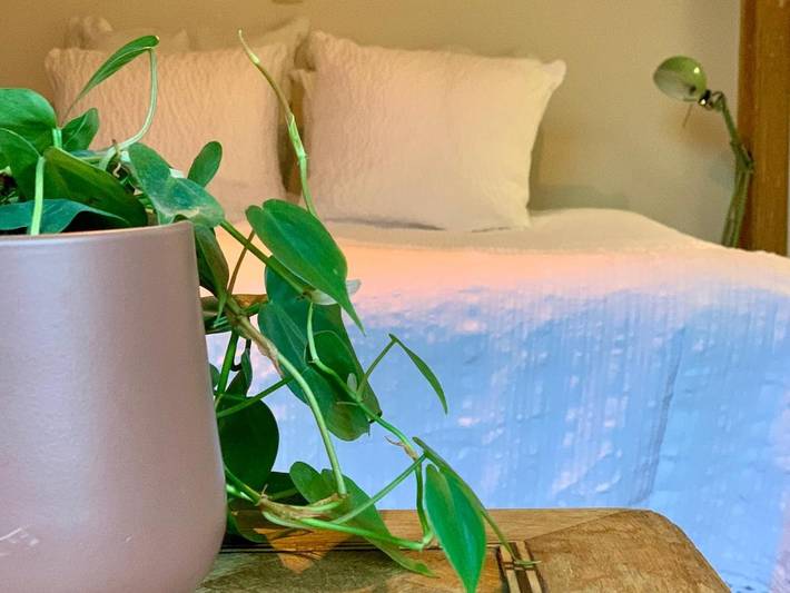 Maison d’hôte pour 2 personnes, avec Terrasse et Jardin à Dilsen-Stokkem