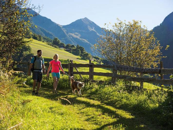 Hotel für 2 Personen, mit Garten und Terrasse, mit Haustier in Lieser-Maltatal - 4