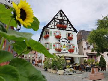 Hôtel pour 2 personnes, avec terrasse, animaux acceptés à Villé (Bas-Rhin Alsace)