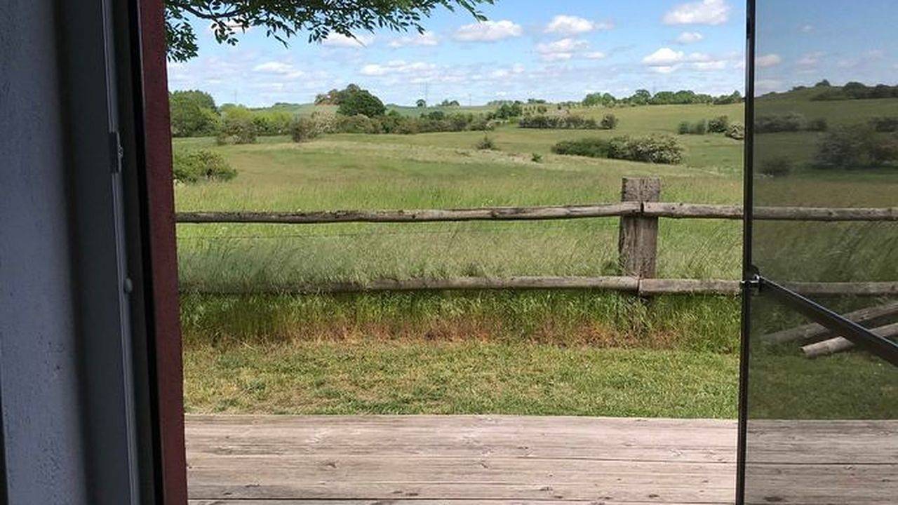 Ganze Ferienwohnung, Ferienwohnung für 4 Personen (65 m²) in Klein Vielen in Klein Vielen, Mecklenburg-Strelitz