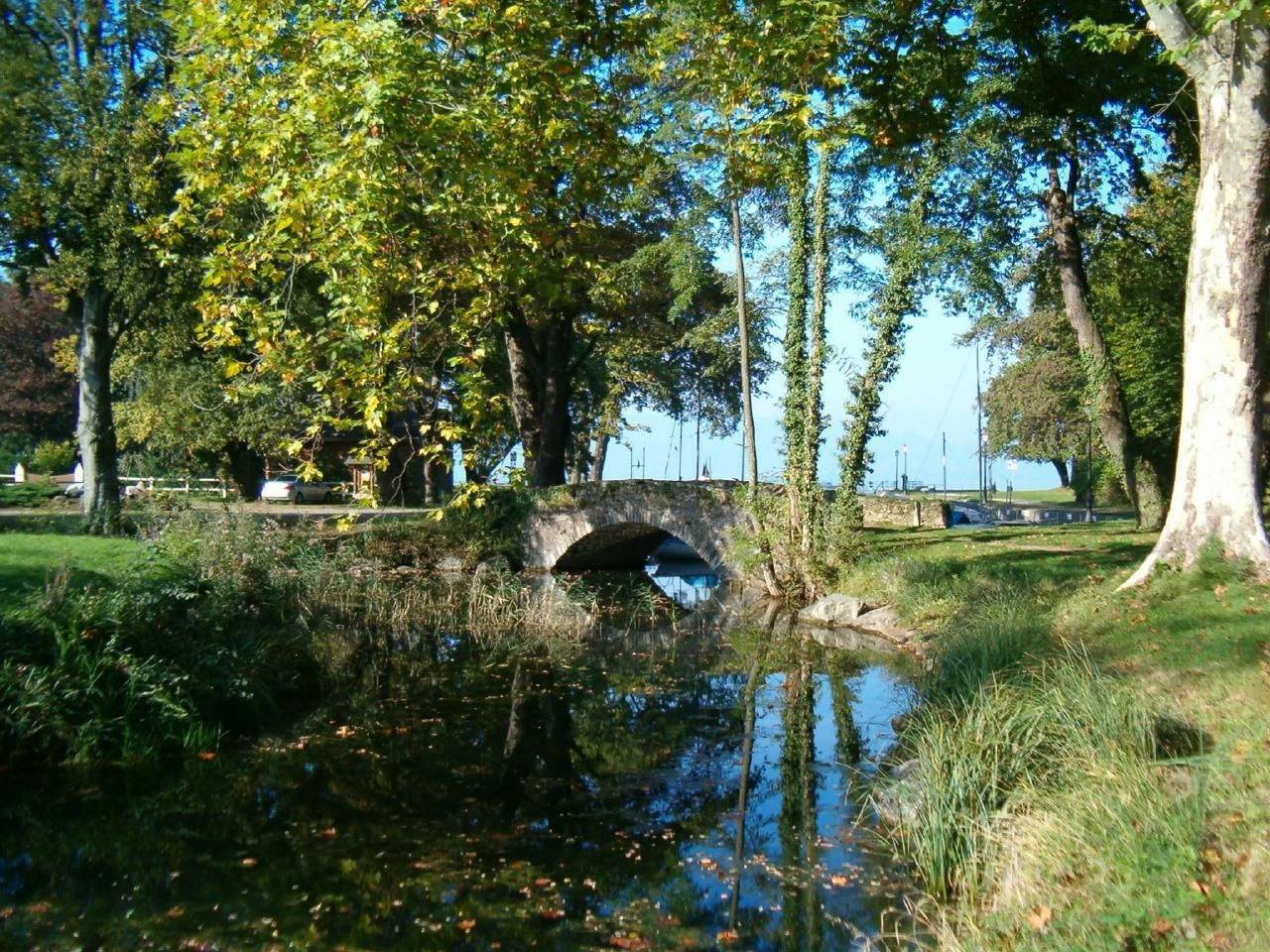 Coudree in Sciez, Thonon-les-Bains region