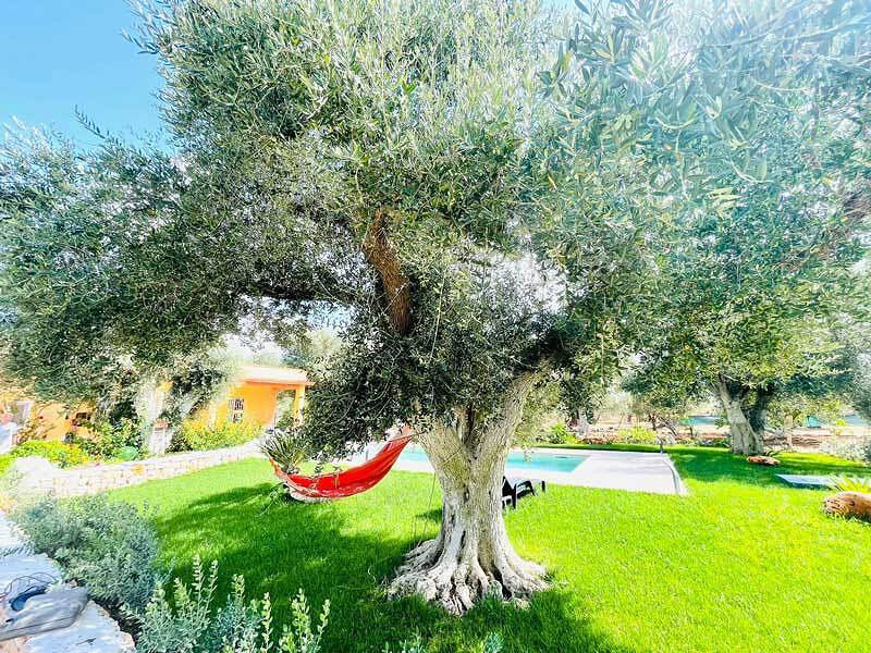 Ferienhaus für 9 Personen mit Pool in Latiano, Salento