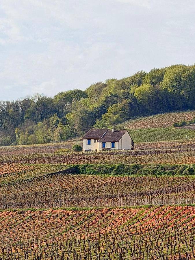 Three-Bedroom House in Chavot-Courcourt, Marne
