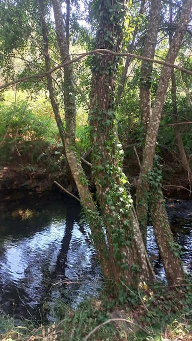 Location de vacances pour 5 personnes, avec jardin et terrasse, animaux acceptés à Portalegre - 2