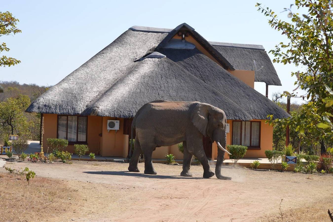 Villa with magnificient view over Kruger Park in Phalaborwa, Kruger National Park