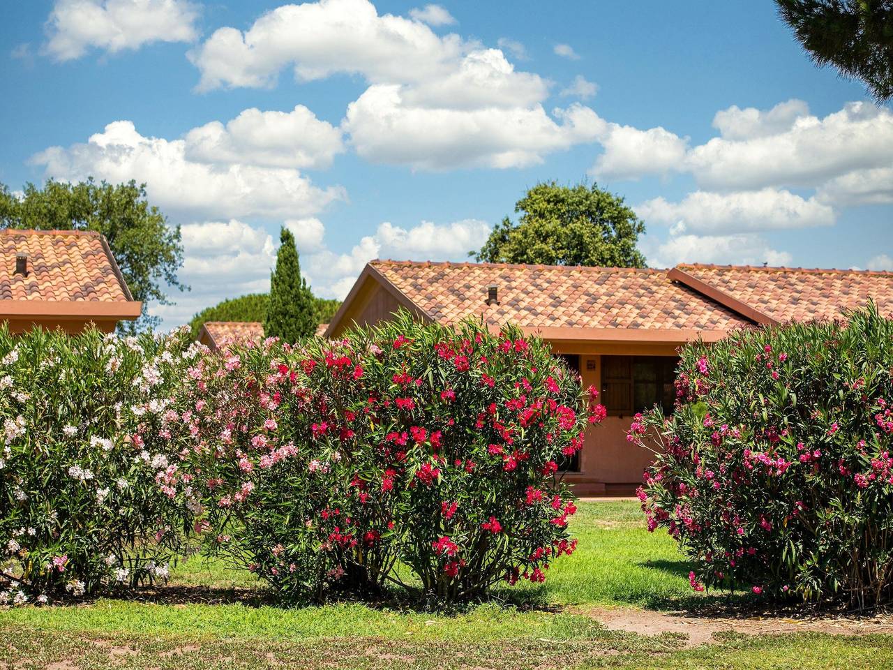Appartamento intero, Appartamento con veranda a Montalto Marina in Montalto di Castro, Provincia di Viterbo