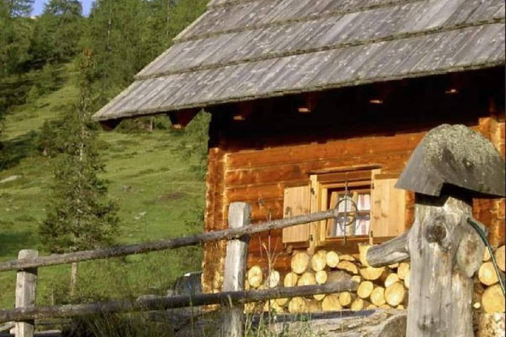 Leebhütte, Österreich in Reichenau (Österreich), Oberkärnten