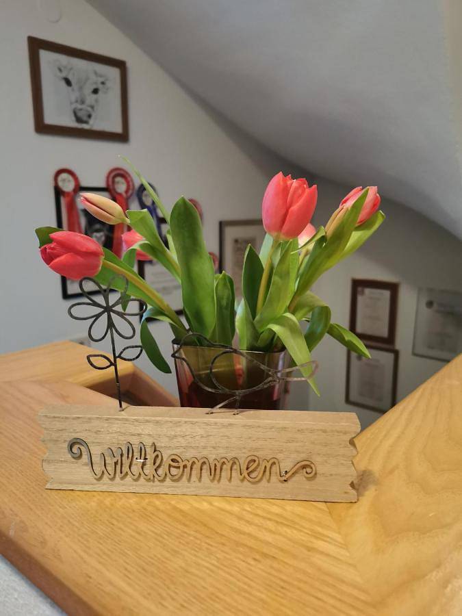 Ferienwohnung für 4 Personen, mit Balkon und Terrasse sowie Garten und Ausblick in Kaunertal - 2