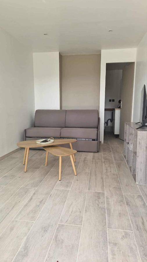 Gîte pour 4 personnes, avec terrasse et jacuzzi, animaux acceptés à Charmes-sur-Rhône - 3