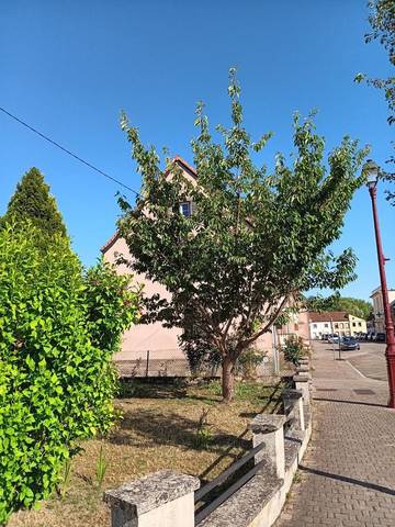 Gîte pour 2 personnes, avec vue, animaux acceptés à Sarralbe