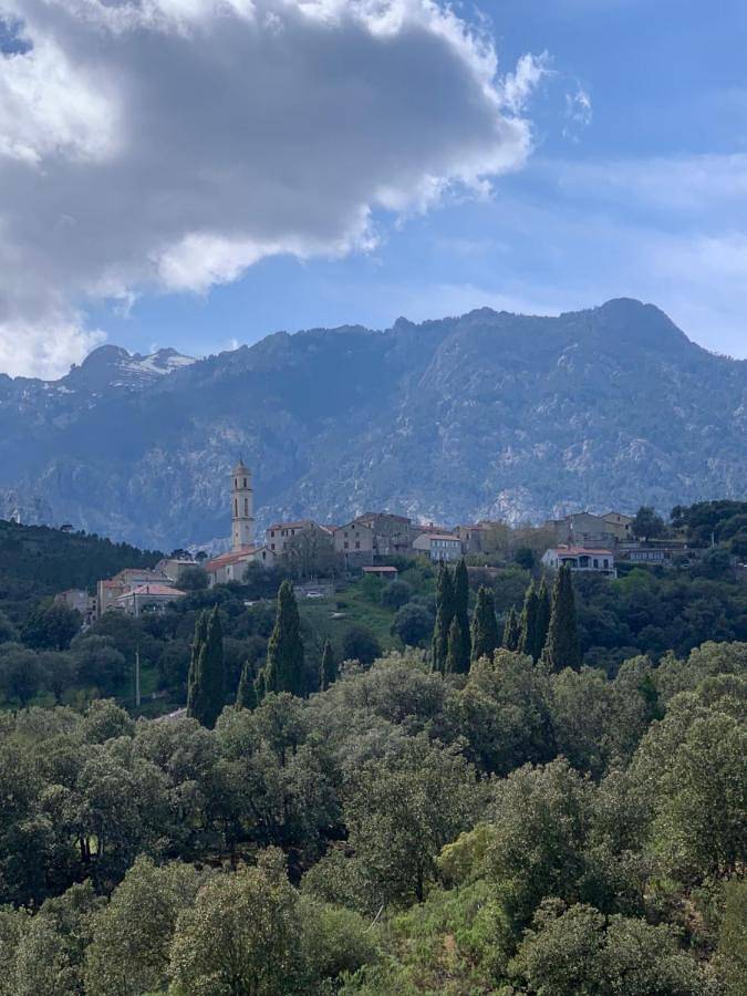 Gîte pour 4 personnes, avec jardin et vue ainsi que terrasse et piscine à Soveria - 3