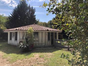 Gîte pour 4 personnes, avec jardin, animaux acceptés à Belin-Béliet