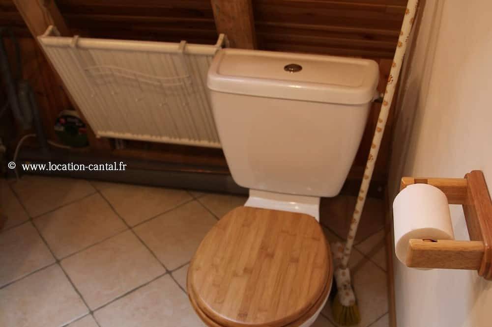 Apartamento entero, Encanto amueblado ★ ★ turismo. Capacidad: 2 personas. in Parque Natural Regional Volcans d'Auvergne