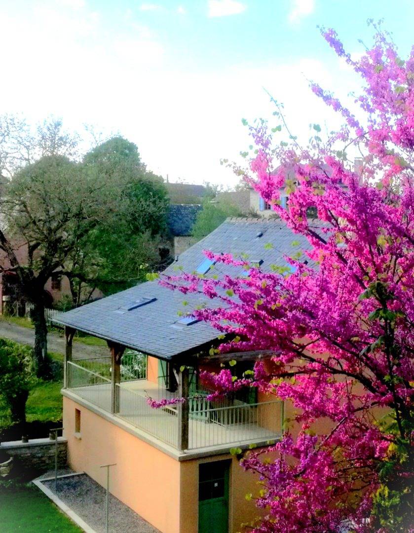 Gîte "Chez Justin" à 10 min de Rodez in Salles-la-Source, Massif central