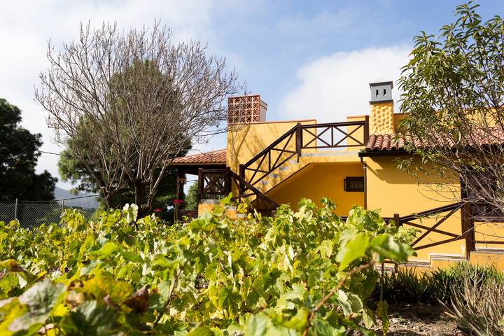 Casa rural para 4 personas, con Balcón además de Terraza y Jardín en Icod de los Vinos - 3