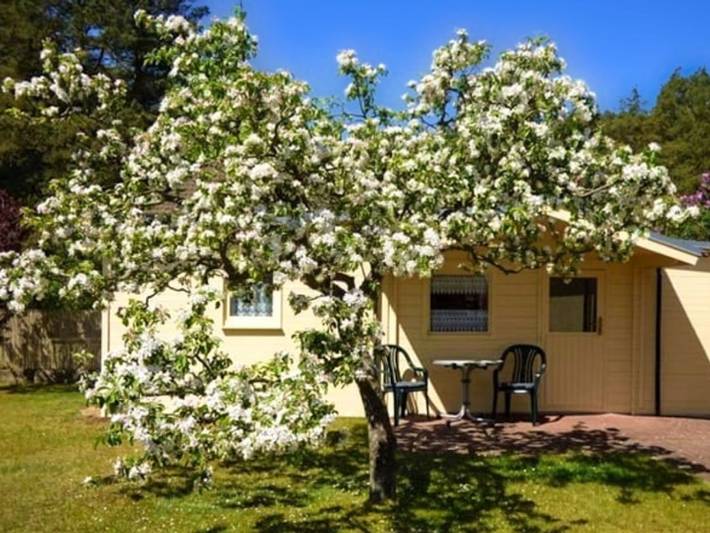 Bungalow für 2 Personen, mit Terrasse und Garten in Loddin - 2