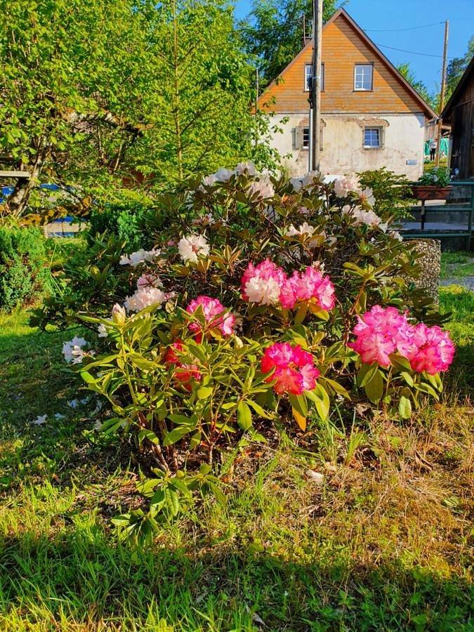 Gîte pour 7 personnes, avec vue et jardin, animaux acceptés à Le Hohwald - 2