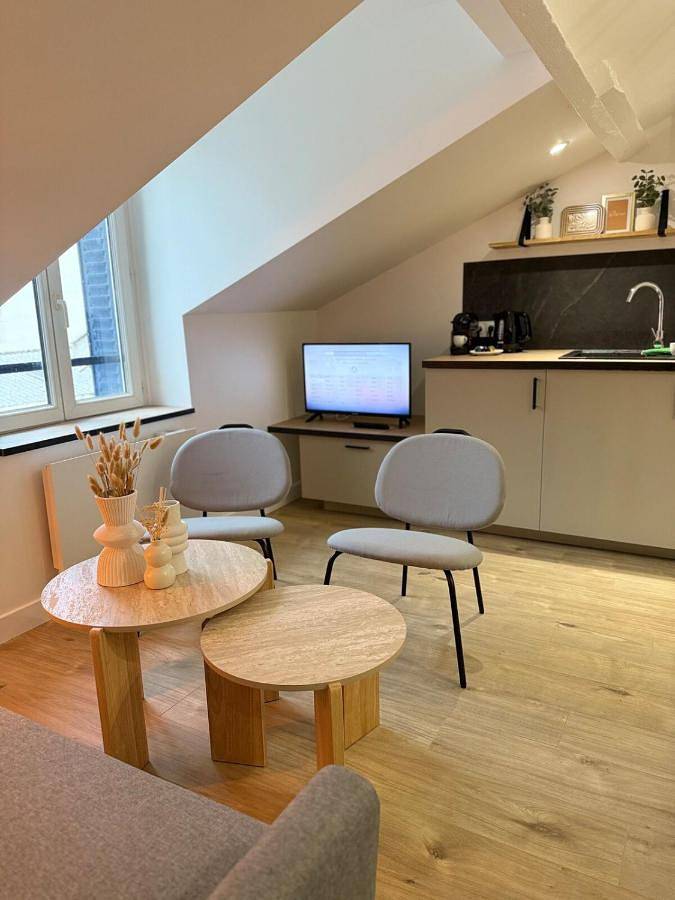 Appartement entier, Appartement charmant et cosy Encombe vineuse-Dabnb in Limoges, Région de Limoges