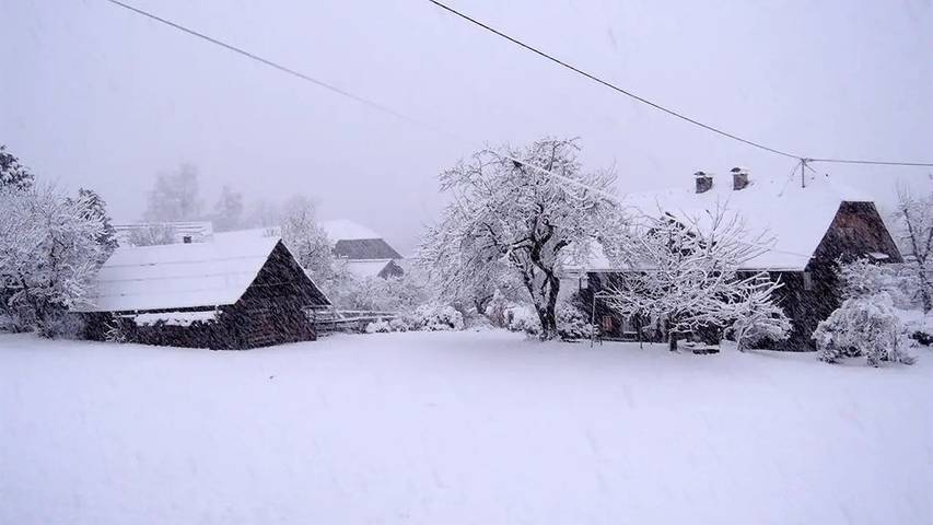 Hütte für 4 Personen, mit Balkon und Garten am Millstätter See - 2