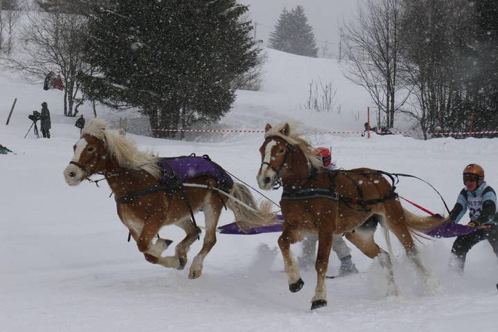 Gîte pour 4 personnes, avec balcon et sauna dans Office De Tourisme De La Feclaz
