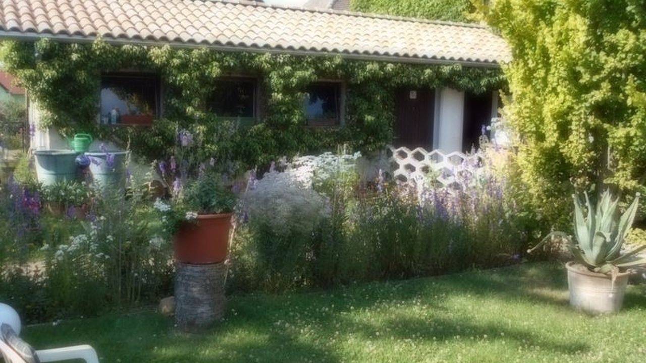 Ganze Ferienwohnung, Ferienwohnung für 3 Personen (60 m²) in Dankerode in Dankerode, Harzgerode