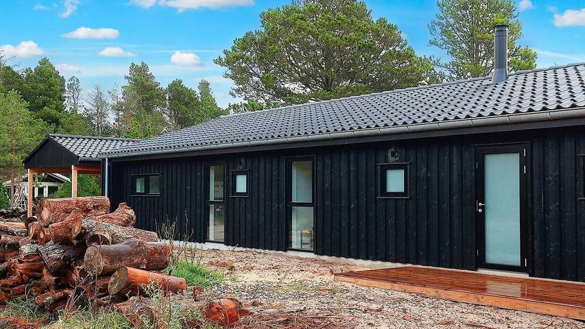 Feriehus for 13 personer, med jacuzzi og terrasse, dyr tillatt i Skagen